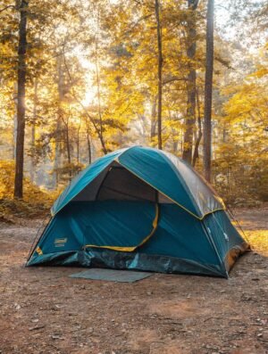 tent-4 Plexamid Tent