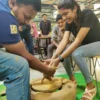pottery activity in hyderabad